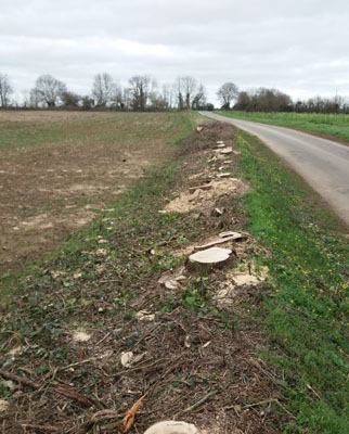 Haies d&eacute;truites